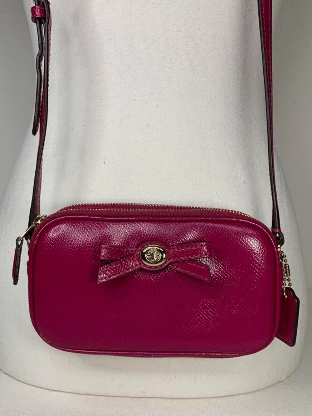 Coach Crossbody, mini bag